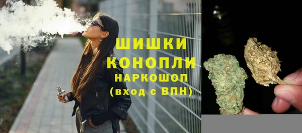 сатива Арсеньев