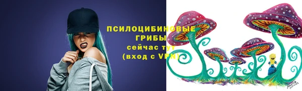 сатива Арсеньев