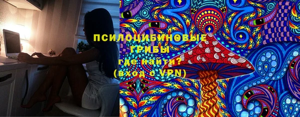 сатива Арсеньев