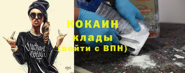сатива Арсеньев