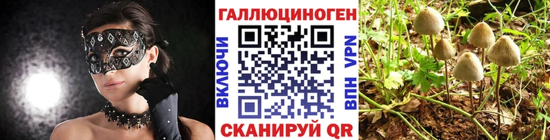 Псилоцибиновые грибы мицелий  omg вход  Полярный 